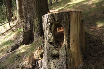 20110414-090428.jpg