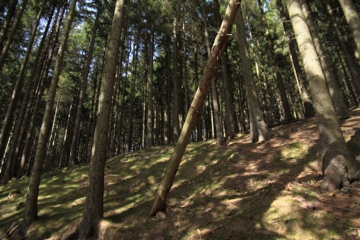 20110414-090542.jpg